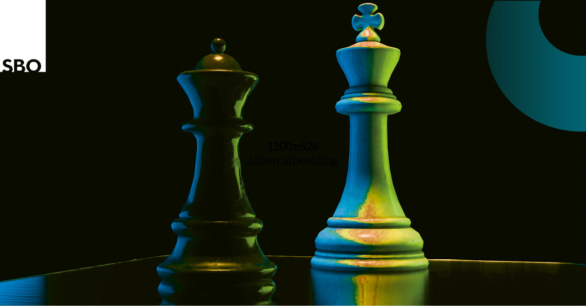 Online voorlichting opleiding Strategisch Programmamanagement