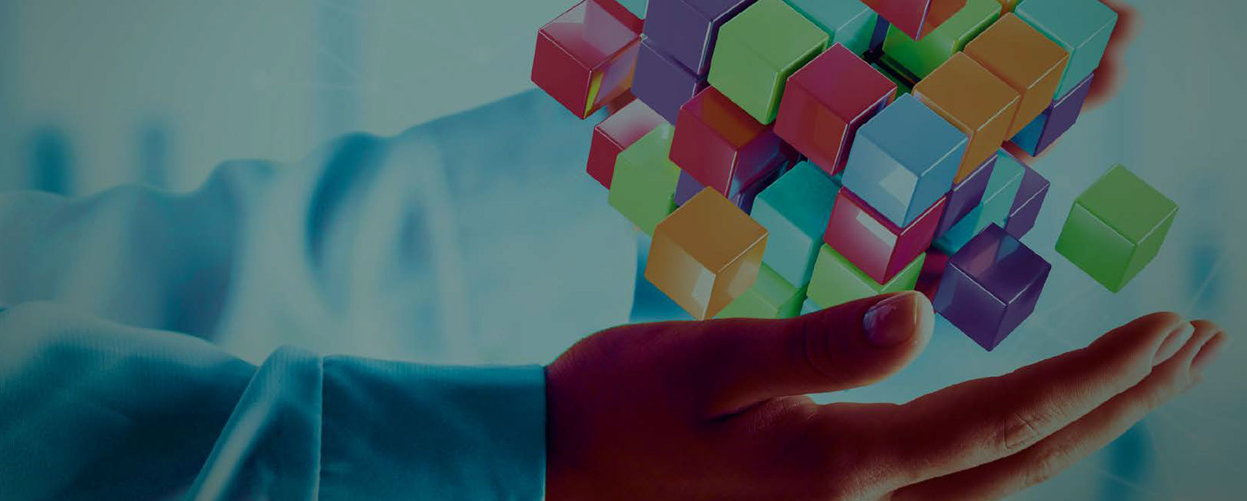 Programma Management